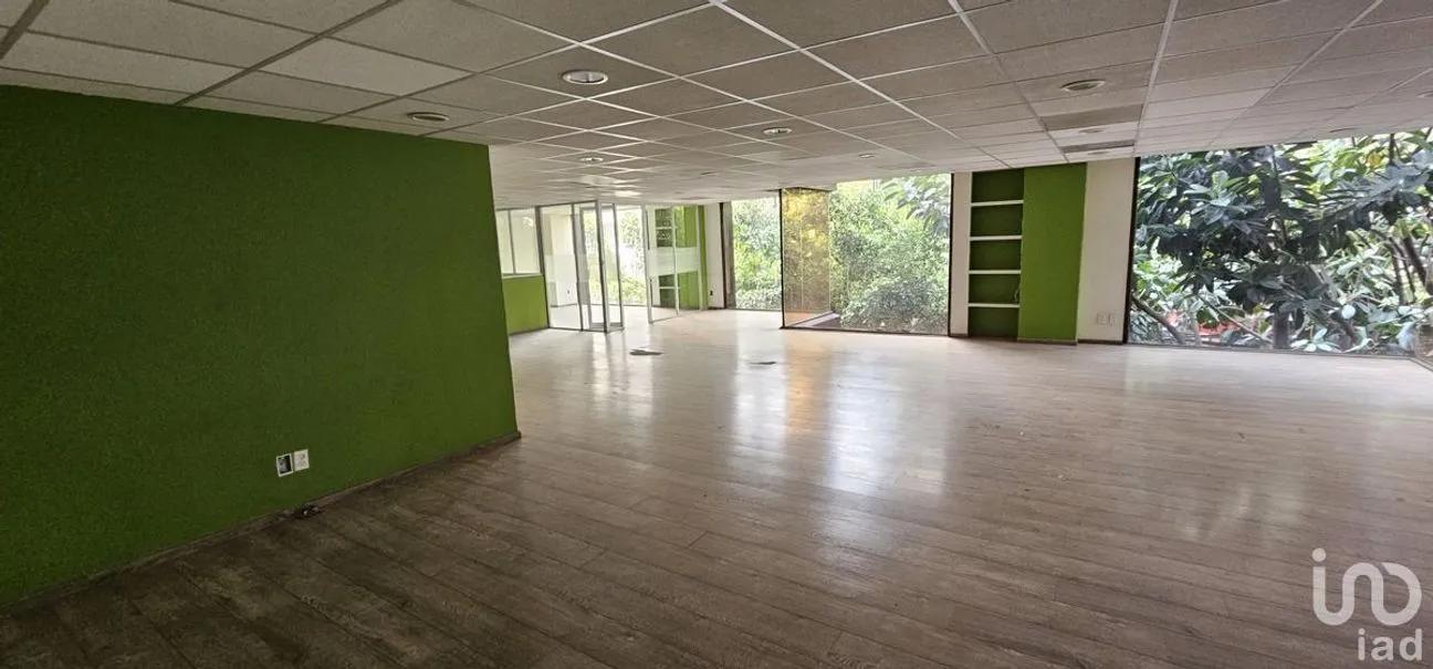Oficina en Renta en Anzures, Miguel Hidalgo, Ciudad de México | NEX-227922 | iad México | Foto 3 de 16