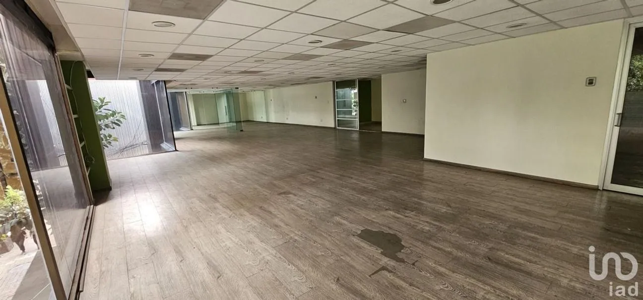 Oficina en Renta en Anzures, Miguel Hidalgo, Ciudad de México | NEX-227922 | iad México | Foto 6 de 16