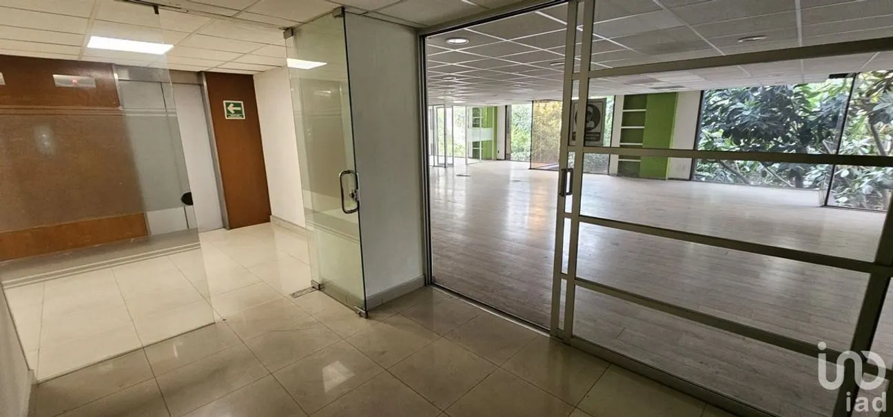 Oficina en Renta en Anzures, Miguel Hidalgo, Ciudad de México | NEX-227922 | iad México | Foto 9 de 16
