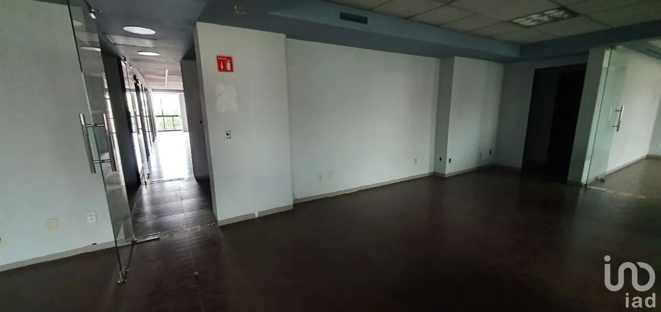 Oficina en Renta en Granada, Miguel Hidalgo, Ciudad de México | NEX-267781 | iad México | Foto 6 de 18