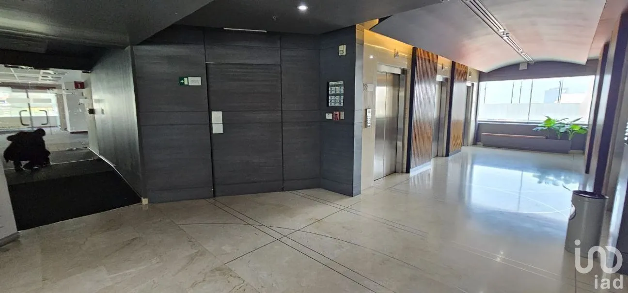 Oficina en Renta en Santa Fe Cuajimalpa, Cuajimalpa de Morelos, Ciudad de México | NEX-267801 | iad México | Foto 6 de 12