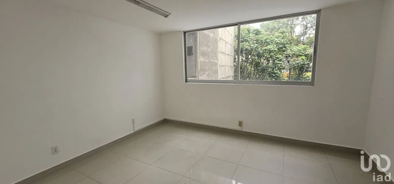 Oficina en Renta en Crédito Constructor, Benito Juárez, Ciudad de México | NEX-267832 | iad México | Foto 13 de 16