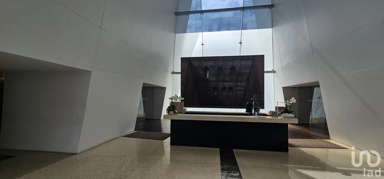 Oficina en Renta en Lomas de Bezares, Miguel Hidalgo, Ciudad de México | NEX-267841 | iad México | Foto 7 de 16