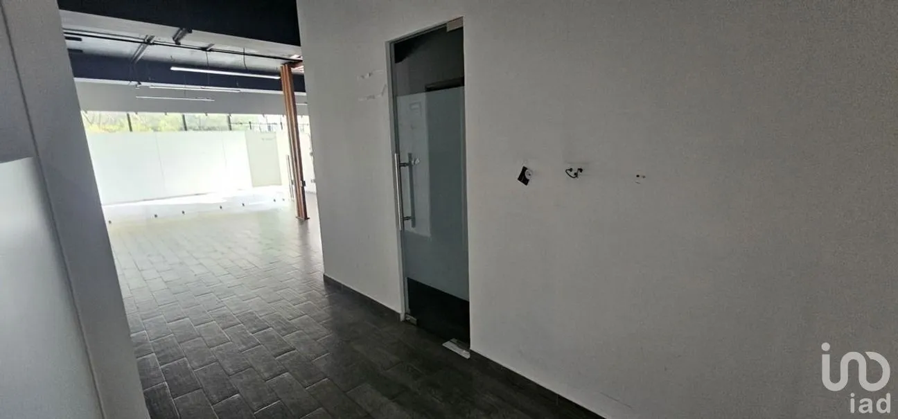 Oficina en Renta en Del Valle Centro, Benito Juárez, Ciudad de México | NEX-269871 | iad México | Foto 17 de 25