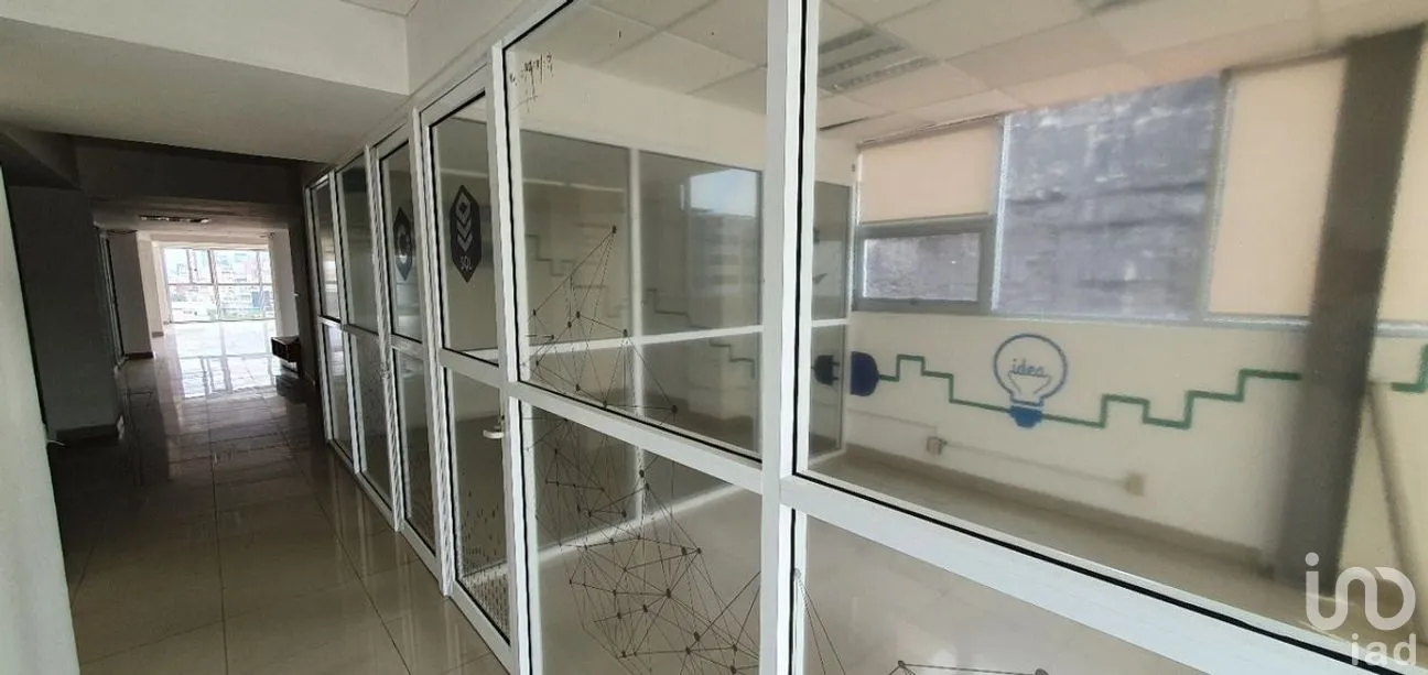 Oficina en Renta en Anzures, Miguel Hidalgo, Ciudad de México | NEX-271267 | iad México | Foto 4 de 15