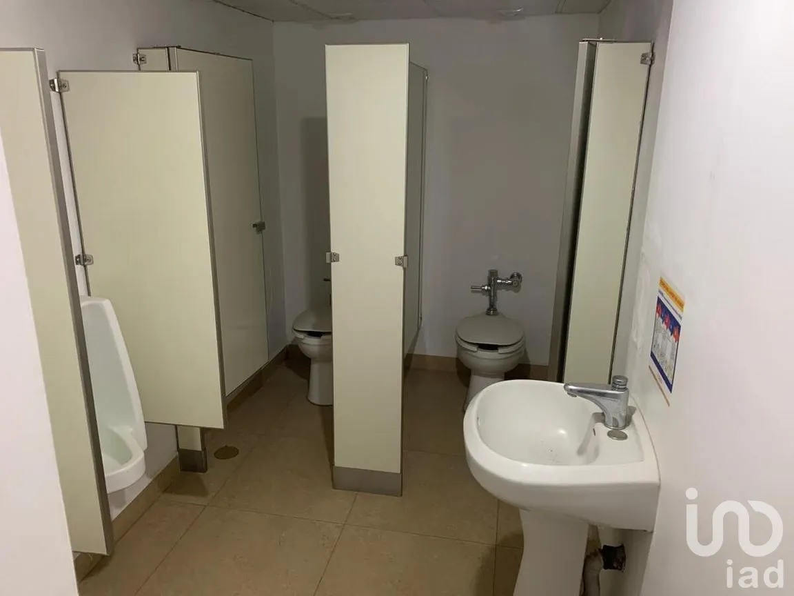 Oficina en Renta en Polanco II Sección, Miguel Hidalgo, Ciudad de México | NEX-271608 | iad México | Foto 9 de 11