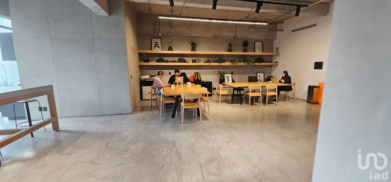Oficina en Renta en Roma Norte, Cuauhtémoc, Ciudad de México | NEX-272640 | iad México | Foto 16 de 23