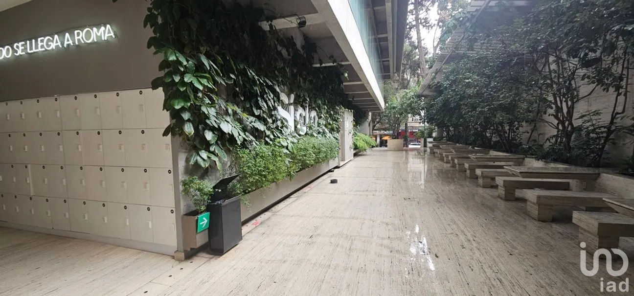 Oficina en Renta en Roma Norte, Cuauhtémoc, Ciudad de México | NEX-272640 | iad México | Foto 22 de 23