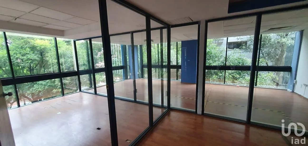 Oficina en Renta en Polanco I Sección, Miguel Hidalgo, Ciudad de México | NEX-272666 | iad México | Foto 5 de 20