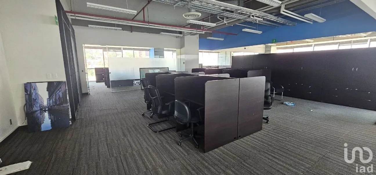 Oficina en Renta en Santa Fe Cuajimalpa, Cuajimalpa de Morelos, Ciudad de México | NEX-276304 | iad México | Foto 11 de 26