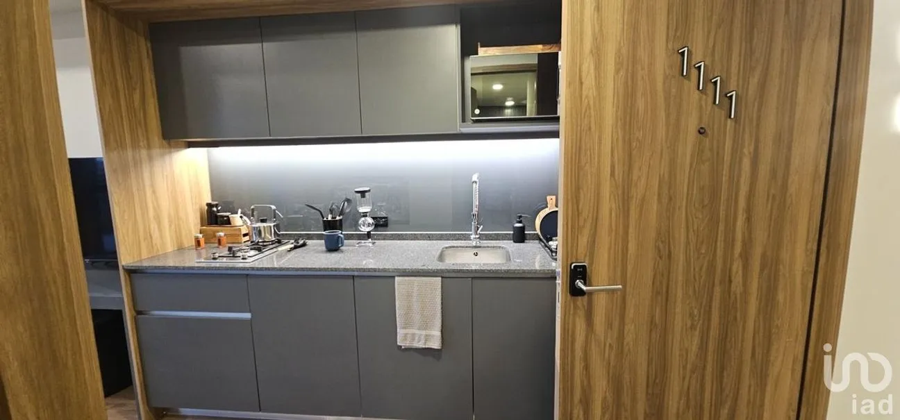 Departamento en Renta en Juárez, Cuauhtémoc, Ciudad de México | NEX-276347 | iad México | Foto 8 de 49