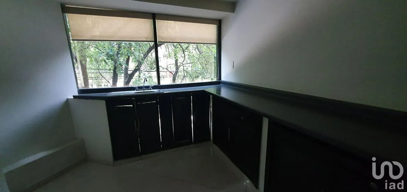 Oficina en Renta en Polanco I Sección, Miguel Hidalgo, Ciudad de México | NEX-276422 | iad México | Foto 12 de 12