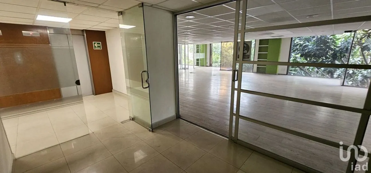 Oficina en Renta en Anzures, Miguel Hidalgo, Ciudad de México | NEX-276526 | iad México | Foto 9 de 16
