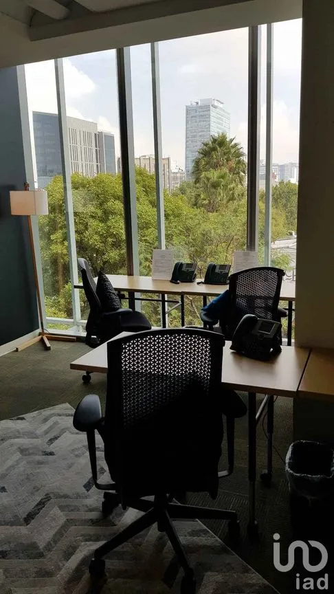 Oficina en Renta en Bosque de las Lomas, Miguel Hidalgo, Ciudad de México | NEX-278044 | iad México | Foto 9 de 18