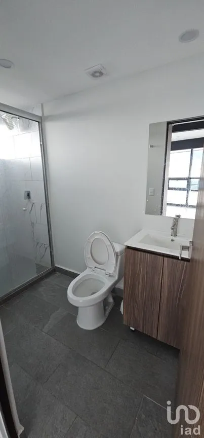 Departamento en Renta en San Pedro de los Pinos, Álvaro Obregón, Ciudad de México | NEX-278145 | iad México | Foto 32 de 42