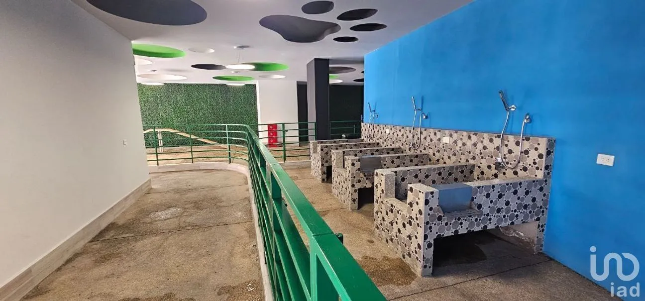 Departamento en Renta en San Pedro de los Pinos, Álvaro Obregón, Ciudad de México | NEX-278153 | iad México | Foto 22 de 37