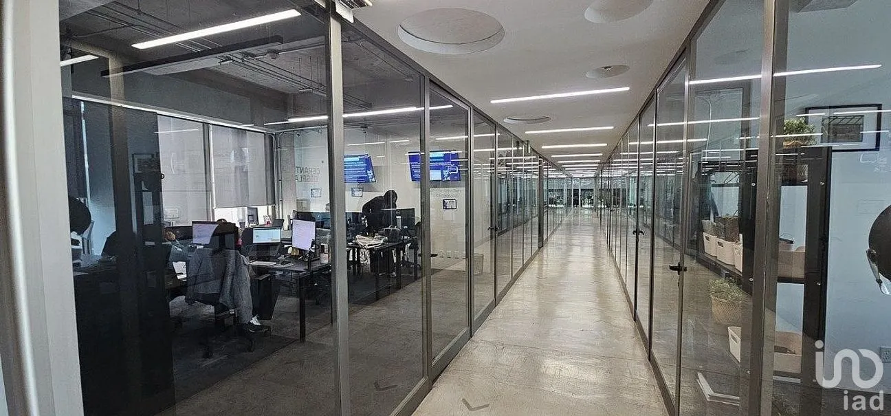 Oficina en Renta en Roma Norte, Cuauhtémoc, Ciudad de México | NEX-288042 | iad México | Foto 4 de 18