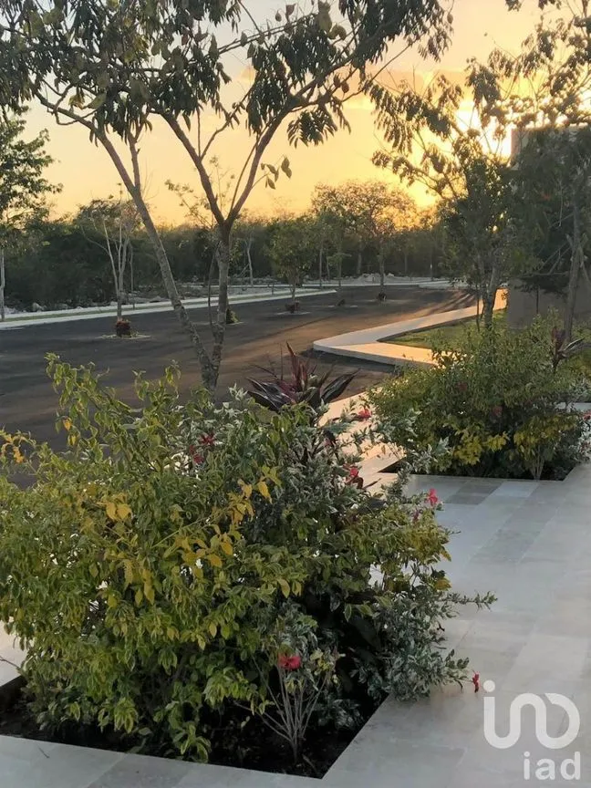 Terreno en Venta en Chablekal, Mérida, Yucatán | NEX-232258 | iad México | Foto 10 de 18