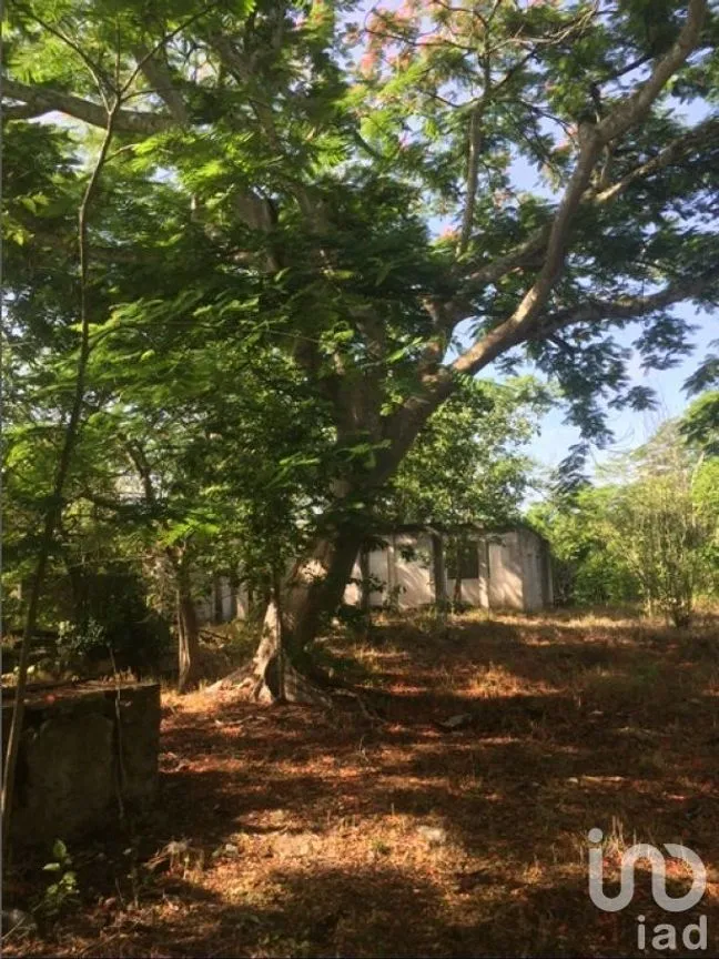 Terreno en Venta en Kantunil, Kantunil, Yucatán | NEX-232618 | iad México | Foto 10 de 12