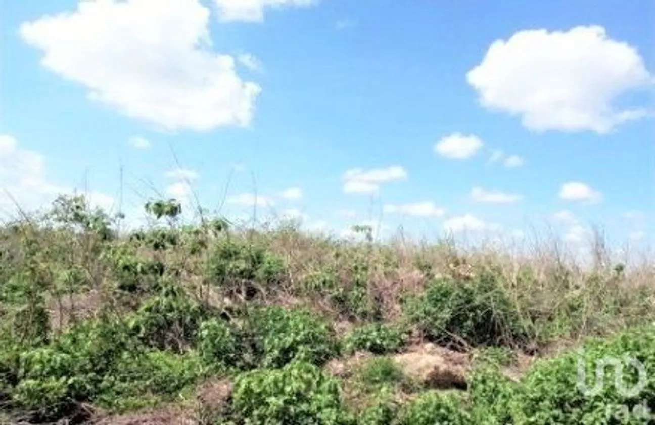 Terreno en Venta en Conkal, Conkal, Yucatán | NEX-232629 | iad México | Foto 5 de 9