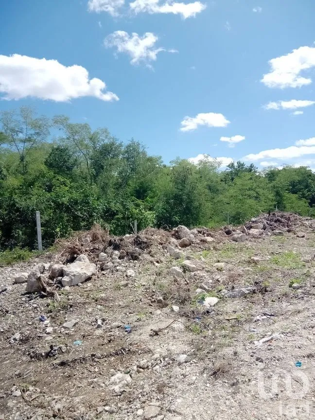 Terreno en Venta en Chicxulub, Chicxulub Pueblo, Yucatán | NEX-232635 | iad México | Foto 3 de 11