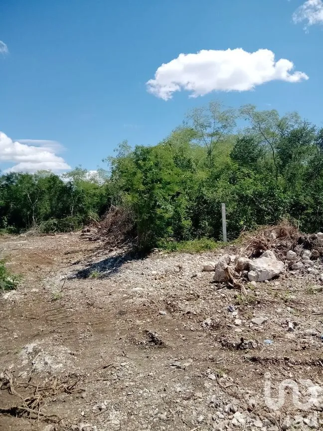Terreno en Venta en Chicxulub, Chicxulub Pueblo, Yucatán | NEX-232635 | iad México | Foto 4 de 11