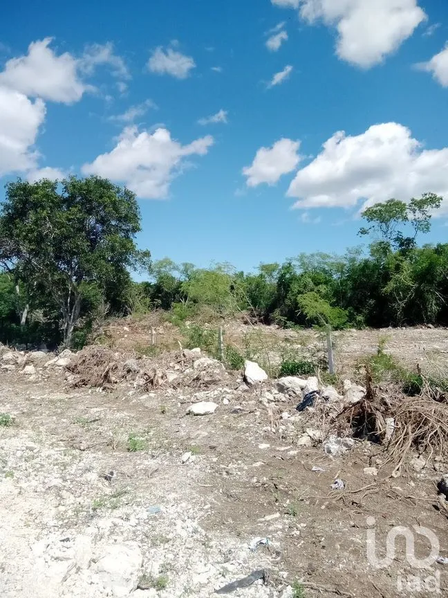 Terreno en Venta en Chicxulub, Chicxulub Pueblo, Yucatán | NEX-232635 | iad México | Foto 5 de 11