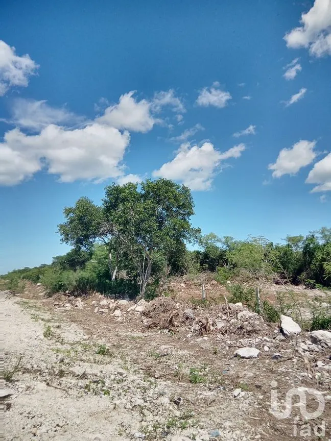 Terreno en Venta en Chicxulub, Chicxulub Pueblo, Yucatán | NEX-232635 | iad México | Foto 7 de 11