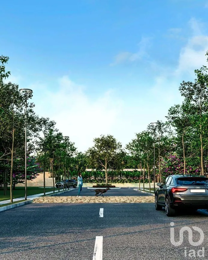 Terreno en Venta en Temozon Norte, Mérida, Yucatán | NEX-232638 | iad México | Foto 15 de 19
