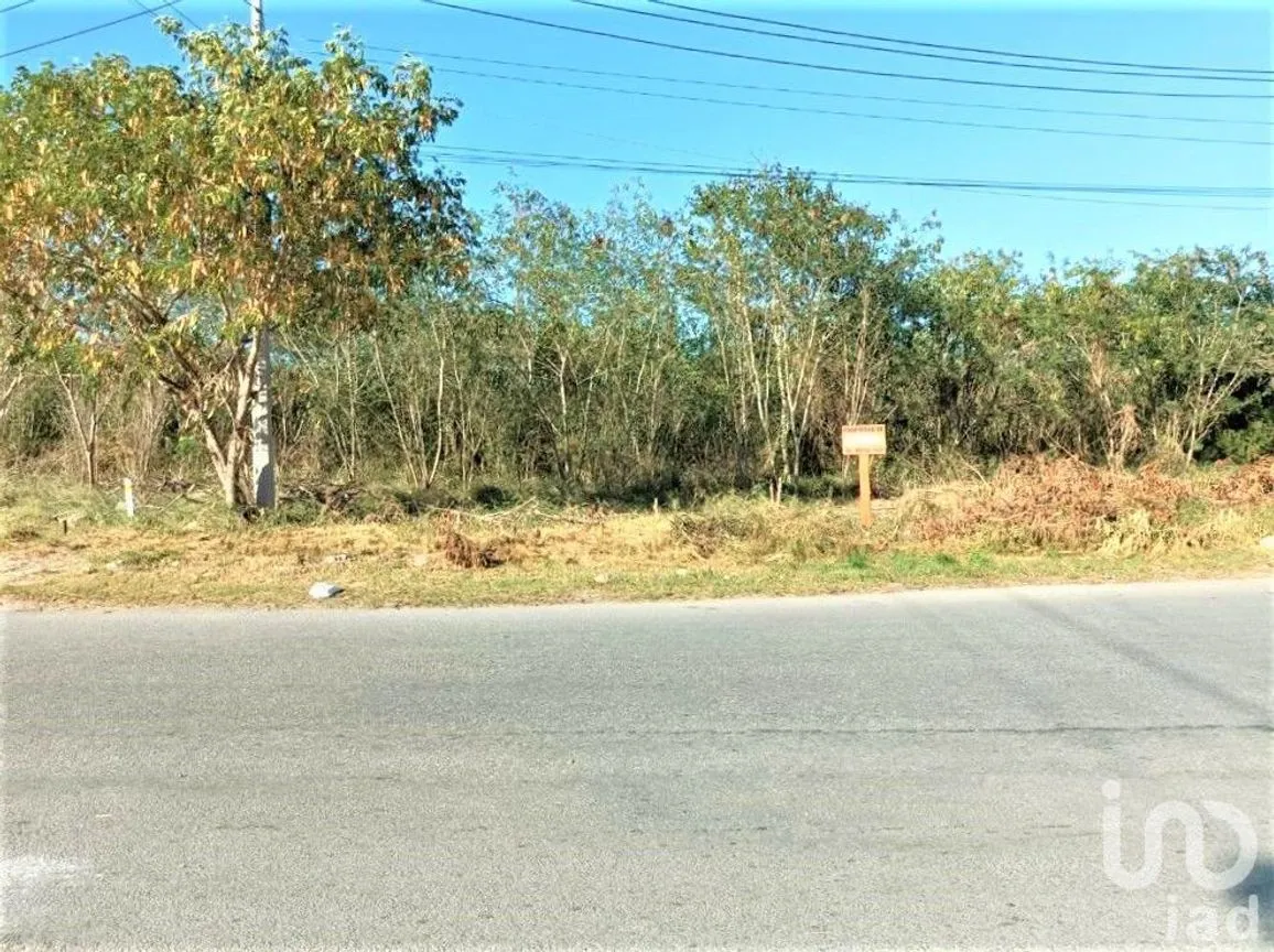 Terreno en Venta en Ampliación Tixcacal Opichen, Mérida, Yucatán | NEX-232647 | iad México | Foto 12 de 12