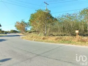 NEX-232647 - Terreno en Venta en Ampliación Tixcacal Opichen, CP 97249, Yucatán.