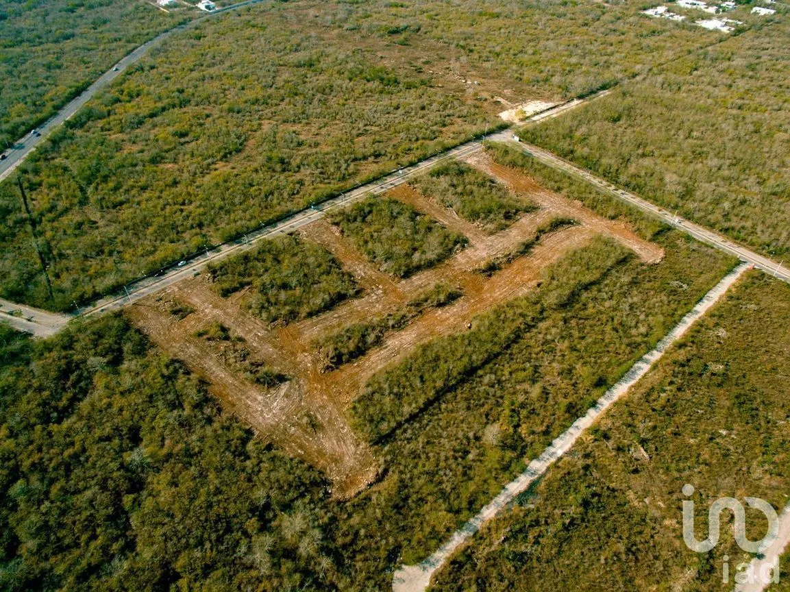 Terreno en Venta en Conkal, Conkal, Yucatán | NEX-232649 | iad México | Foto 16 de 19