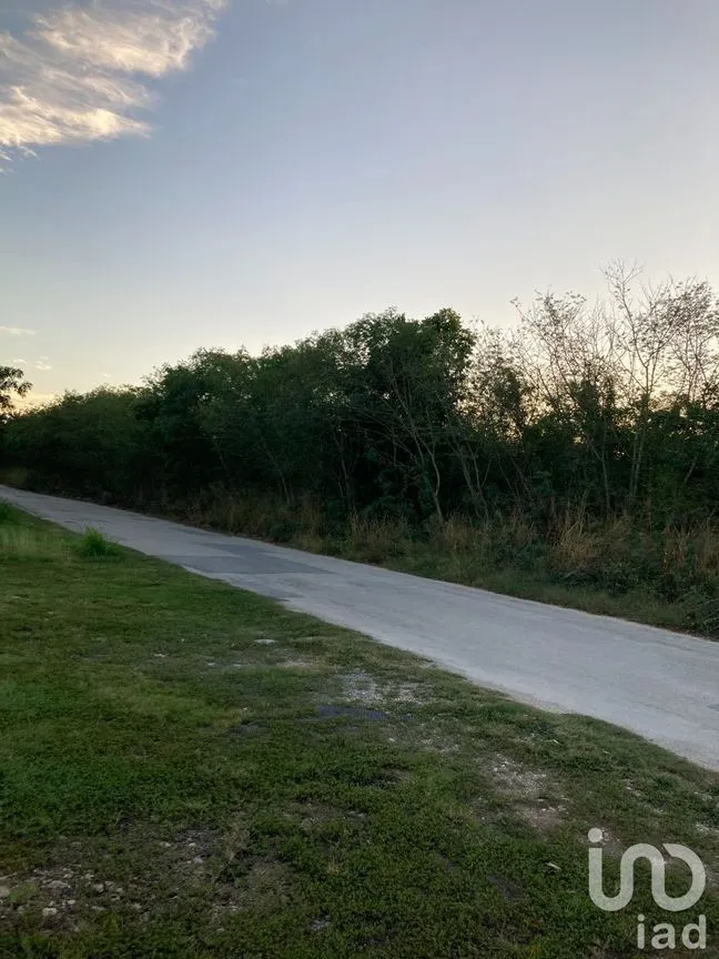 Terreno en Venta en Jalapa, Mérida, Yucatán | NEX-232707 | iad México | Foto 2 de 6