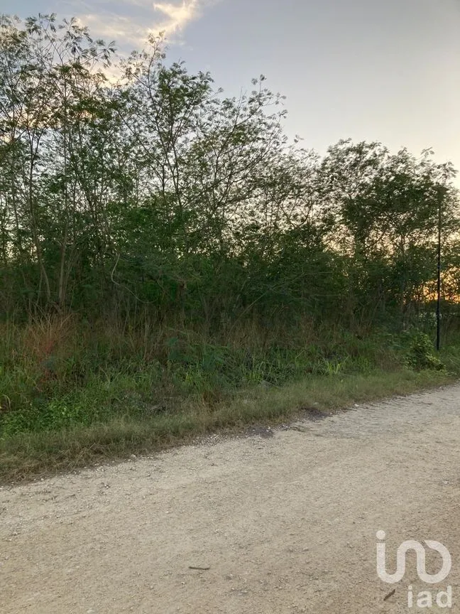 Terreno en Venta en Jalapa, Mérida, Yucatán | NEX-232707 | iad México | Foto 3 de 6