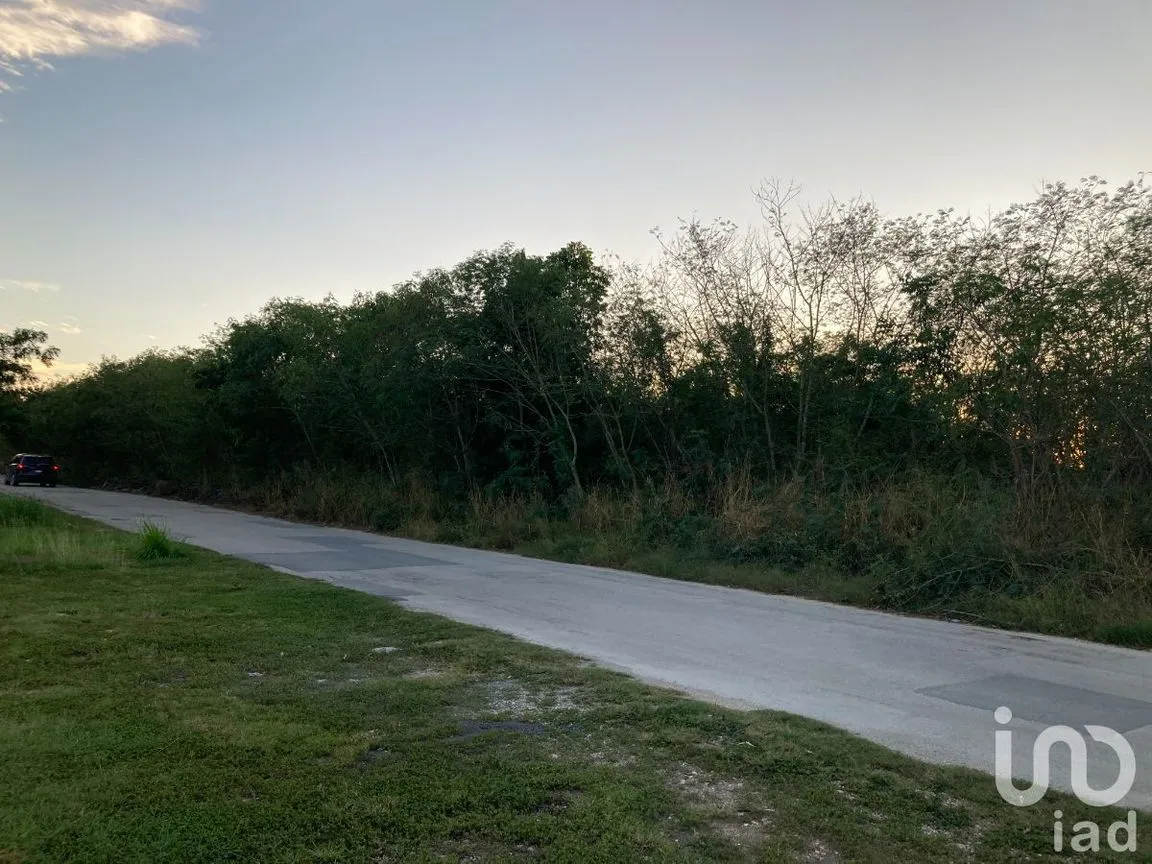 Terreno en Venta en Jalapa, Mérida, Yucatán | NEX-232707 | iad México | Foto 4 de 6