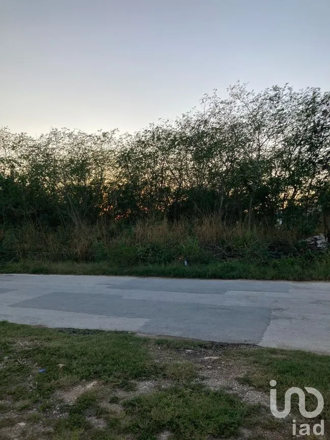 Terreno en Venta en Jalapa, Mérida, Yucatán | NEX-232707 | iad México | Foto 1 de 6