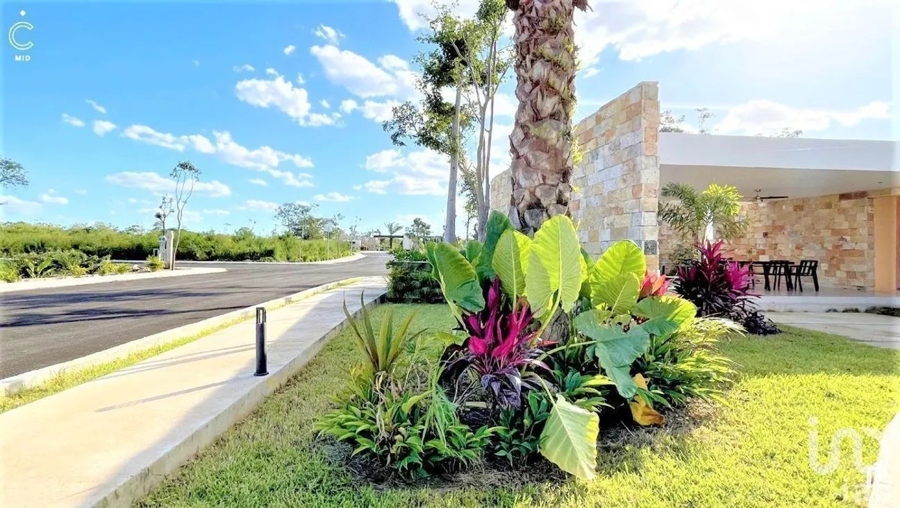 Terreno en Venta en Sitpach, Mérida, Yucatán | NEX-232719 | iad México | Foto 7 de 16