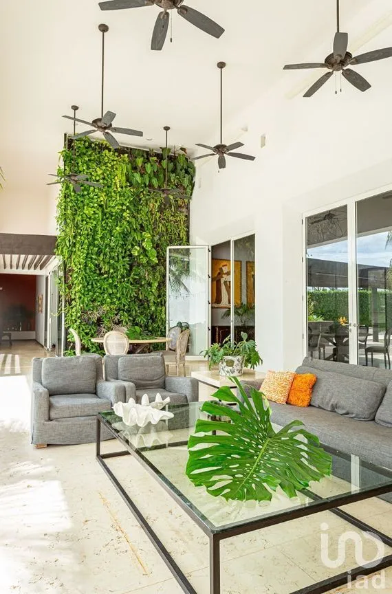 Casa en Venta en Benito Juárez Nte, Mérida, Yucatán | NEX-232720 | iad México | Foto 6 de 24