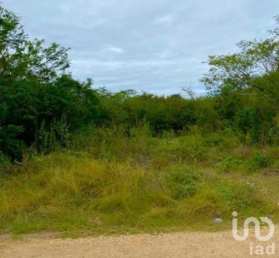 Terreno en Venta en Temozon Norte, Mérida, Yucatán | NEX-232724 | iad México | Foto 2 de 2