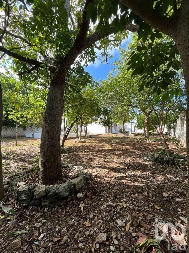 Casa en Venta en Mérida Centro, Mérida, Yucatán | NEX-232738 | iad México | Foto 6 de 6