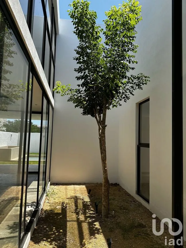 Casa en Venta en Cholul, Mérida, Yucatán | NEX-232766 | iad México | Foto 9 de 22