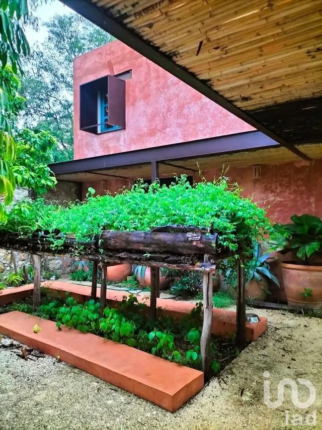 Casa en Renta en Temozon Norte, Mérida, Yucatán | NEX-232796 | iad México | Foto 21 de 22
