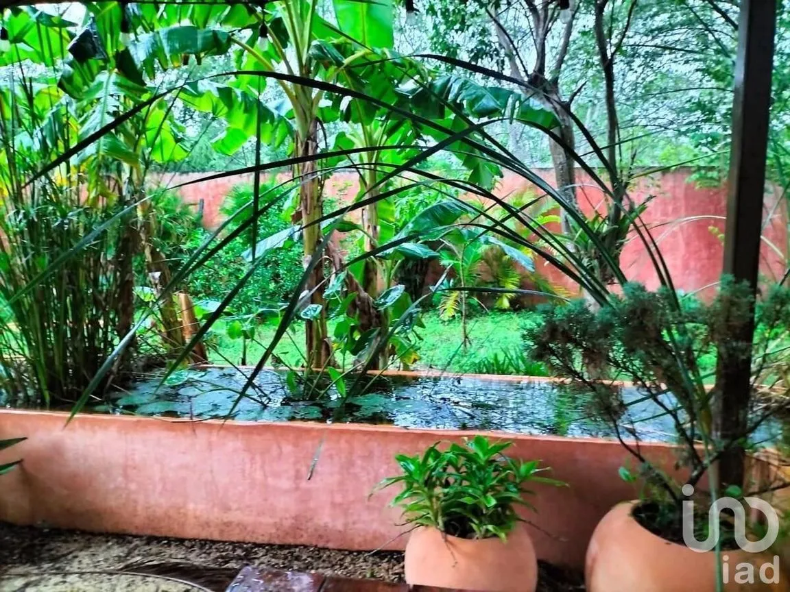 Casa en Renta en Temozon Norte, Mérida, Yucatán | NEX-232796 | iad México | Foto 22 de 22