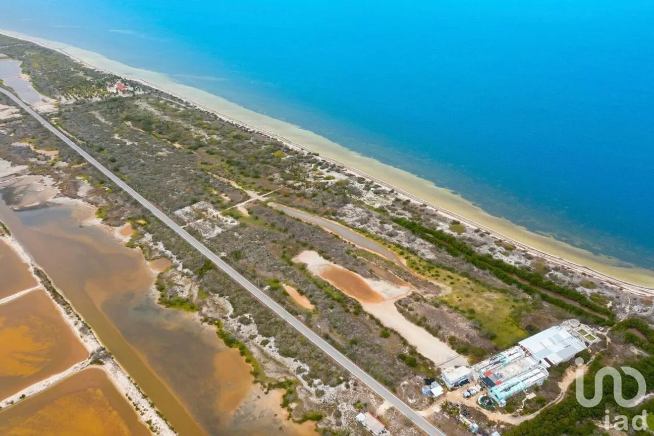 Terreno en Venta en Santa Clara, Dzidzantún, Yucatán | NEX-232843 | iad México | Foto 2 de 4