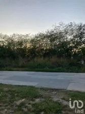 NEX-267233 - Terreno en Venta en Jalapa, CP 97305, Yucatán.