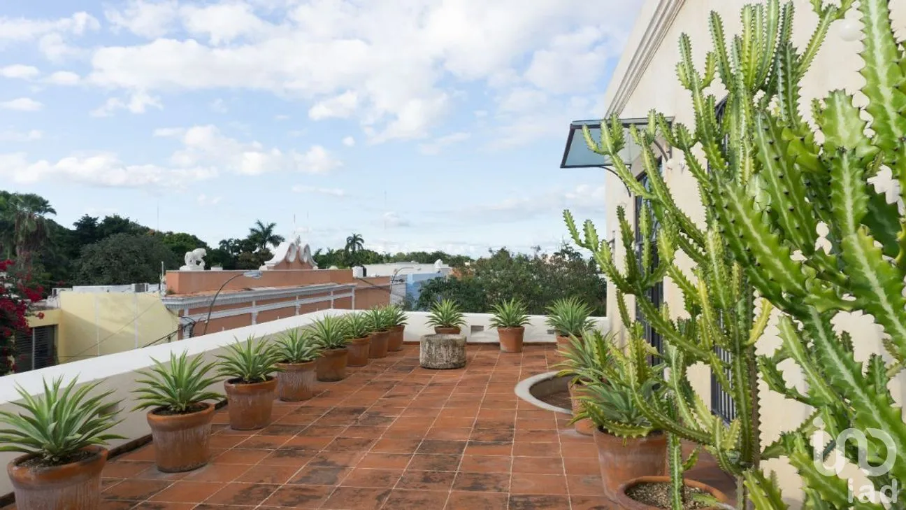 Casa en Venta en Mérida Centro, Mérida, Yucatán | NEX-267244 | iad México | Foto 22 de 25