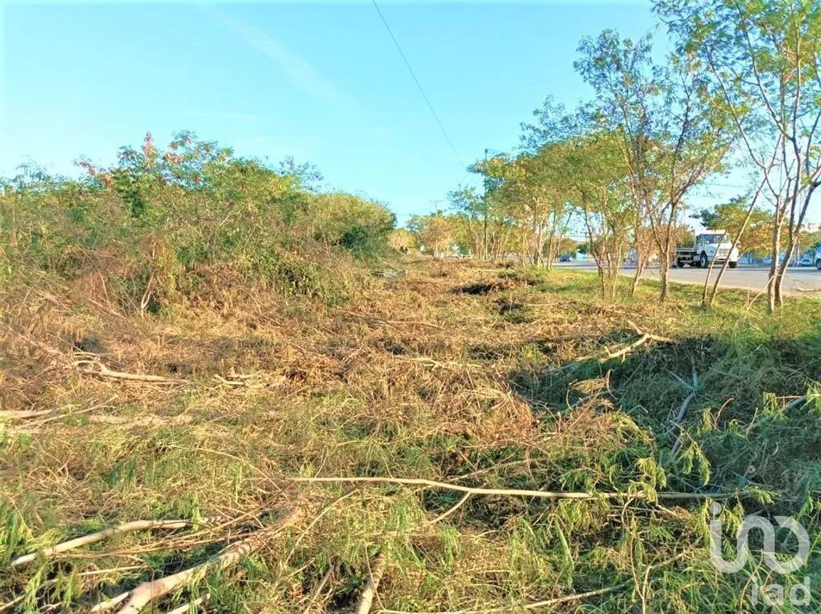 Terreno en Venta en Ampliación Tixcacal Opichen, Mérida, Yucatán | NEX-274688 | iad México | Foto 11 de 12