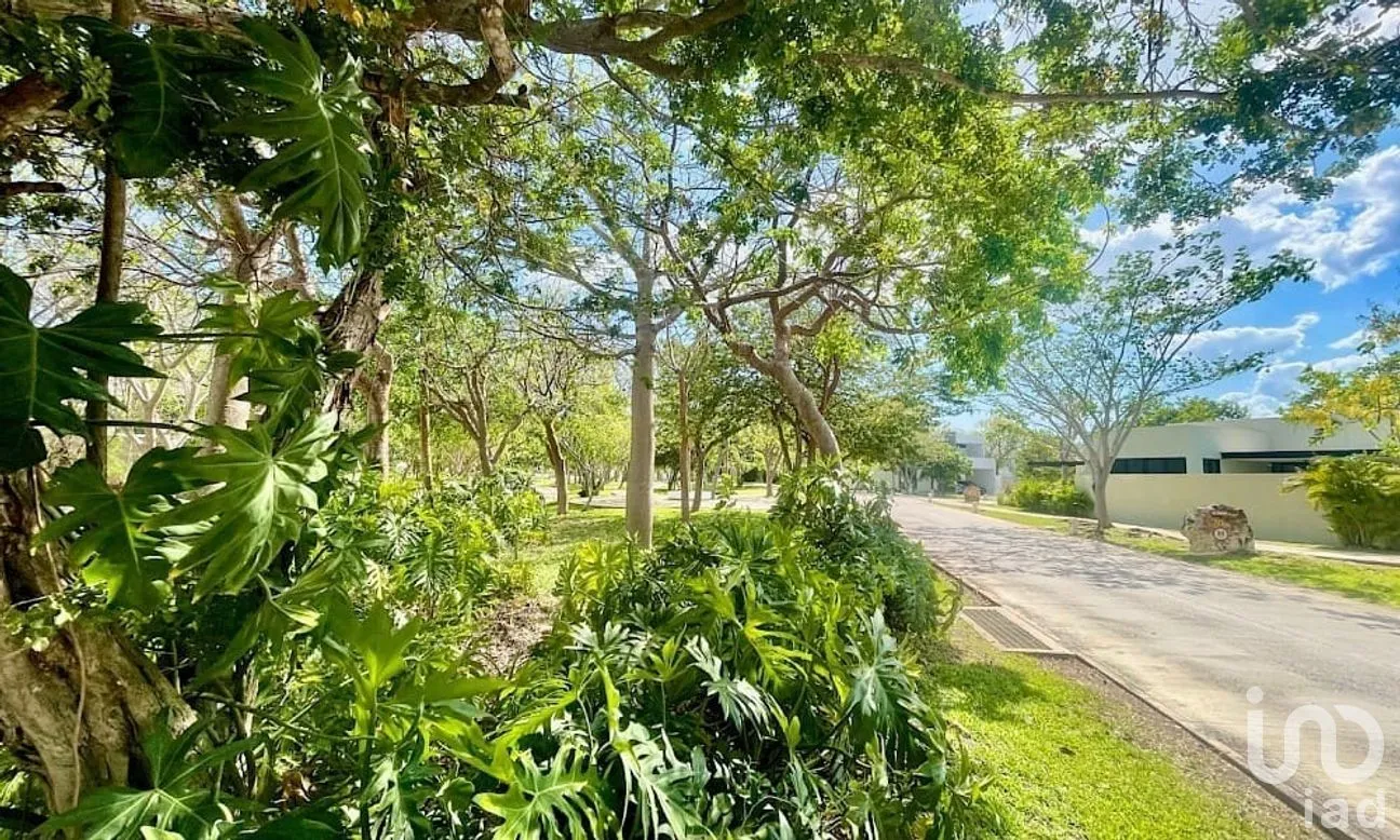 Casa en Venta en Cholul, Mérida, Yucatán | NEX-276110 | iad México | Foto 33 de 34