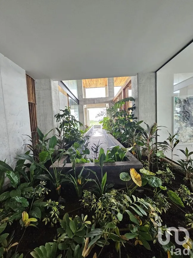 Departamento en Venta en Santa Gertrudis Copo, Mérida, Yucatán | NEX-276609 | iad México | Foto 18 de 28