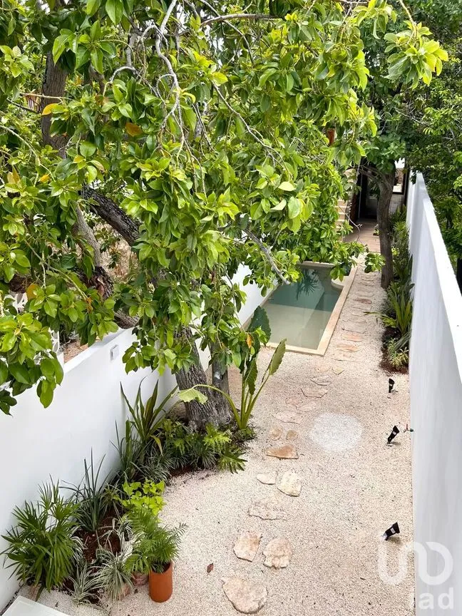 Casa en Venta en Mérida Centro, Mérida, Yucatán | NEX-277023 | iad México | Foto 17 de 49